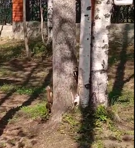 Беседы о дружбе. Беседы о дружбе.